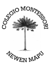 Colegio Montessori Newen Mapu