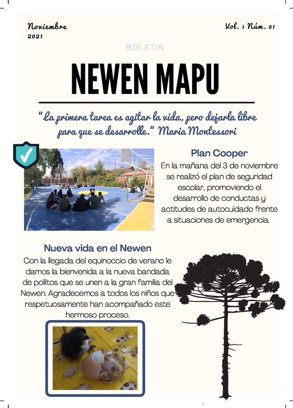 Colegio Montessori Newen Mapu
